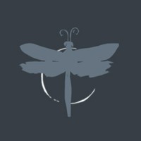 DragonFly Studio logo - Similar company to Argus Labs