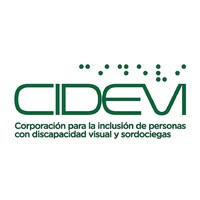 CIDEVI Chile logo - Similar company to Hiveyoung