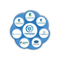 Grupo Empresarial Cayena Azul logo - Similar company to Zone Production.Cz