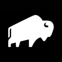 DATA AHEAD AG logo - Similar company to Bisonforest