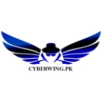 Cyber wing logo - Similar company to Cyberwing Solutions