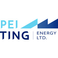 霈庭能源股份有限公司 PEI-TING ENERGY logo - Similar company to Hengs Technology