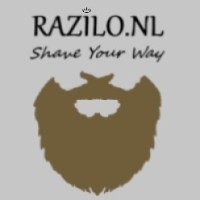 Razilo.nl logo - Similar company to Scalefinity