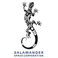 Salamander Space Corporation logo - Similar company to Intersections Advisory Group