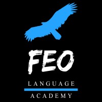 FEO academy - آکادمی فِئو logo - Similar company to Search4.Ir