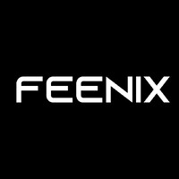 Feenix Digital logo - Similar company to Feeniks Visual