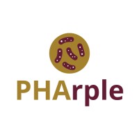 PHARPLE | PRIN 2022 logo - Similar company to Phoster | Era-Min 3