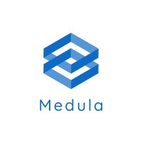 Medula LLC logo - Similar company to Fifth Dimension