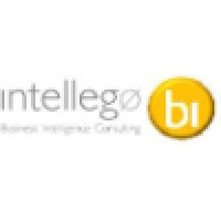 Intellego BI logo - Similar company to Iteam