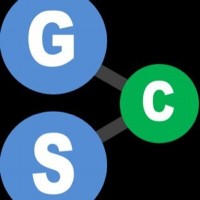 George Street Capital logo - Similar company to Performance Data (Asia) Pte Ltd