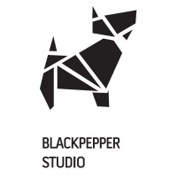 BlackPepper Studio logo - Similar company to Moved Production
