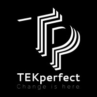 TEKperfect logo - Similar company to Palm Facility Services