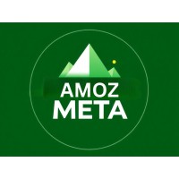 Amozmeta logo - Similar company to Meshdex