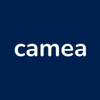 camea logo - Similar company to Camea