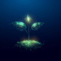 krishichain logo - Similar company to Myqs, The Skill-Sharpening Platform