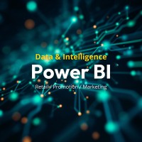 Data & Intelligence Power BI Modern Channel logo - Similar company to Kanal