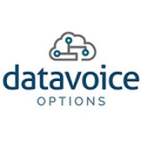 Data Voice Options