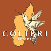 Colibri - Cfqips logo - Similar company to Association Eau De Coco