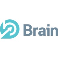 Brain Consulting LLC logo - Similar company to Ediscoverist