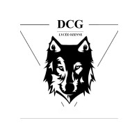 DCG Ozenne Toulouse logo - Similar company to Solutea