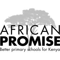 African Promise logo - Similar company to Simama Project