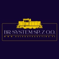 BR-SYSTEM logo - Similar company to Silva Ls