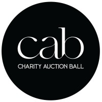 Kellogg Charity Auction Ball logo - Similar company to Datadiveresearch