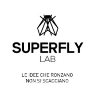 Superfly Lab logo - Similar company to Dlc Tech