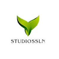SLN Studios logo - Similar company to Digital Fortune
