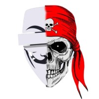 The Pwn Experts India 🇮🇳(thepwnexperts) logo - Similar company to Arqami Soft