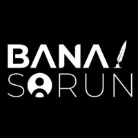 banasorun.net logo - Similar company to Selected Interventions
