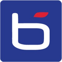 Bluechip Infotech New Zealand Limited logo - Similar company to It Task Force Ltd