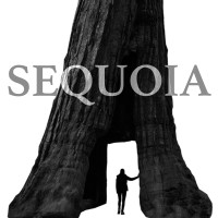 Sequoia Handels-, Beratungs- und Beteiligungsgesellschaft mbH logo - Similar company to Moebella24