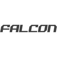 Falcon Motors Corporation logo - Similar company to Exceed Partners