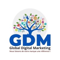 Global Digital Marketing Mali logo - Similar company to Bintschool