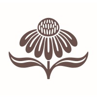 Dolvada Design