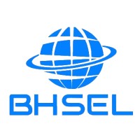 Blue Horizons Strategic Engineering Pvt Ltd logo - Similar company to Flybasel.Com