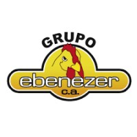 GRUPO EBENEZER logo - Similar company to Alive Cosmetics