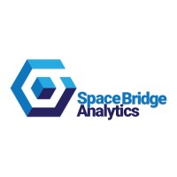 Space Bridge Analytics LLC logo - Similar company to Azurest Partners