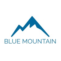 Blue Mountain Investment Group LLC. logo - Similar company to Visa Venture