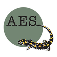 AES National Ltd logo - Similar company to Hortex Ltd