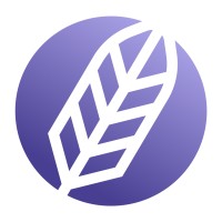 SteadyWise logo - Similar company to Simple Debt Solutions