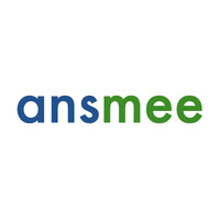 Ansmee logo - Similar company to Konsol.Studio
