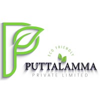 Puttalamma Pvt Ltd logo - Similar company to Pmp Insurance Broking
