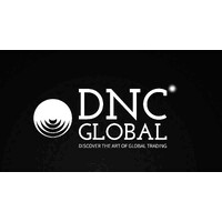 DNC Global Trading logo - Similar company to S2Ee