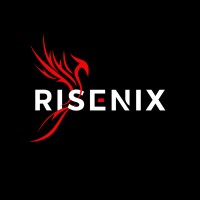RiseNix logo - Similar company to Sandbox (Private) Limited