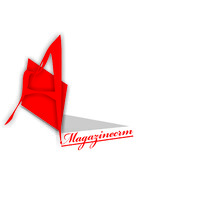 magazinecrmsoftware logo - Similar company to Medlyte