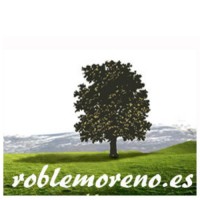 Asociación Roble Moreno logo - Similar company to Miguel Design Hub