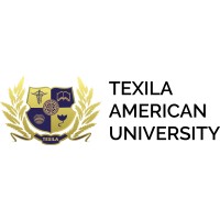 Texila e-Conference logo - Similar company to Agileintel Research