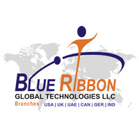 Blue Ribbon Global Technologies LLC logo - Similar company to Tech Plus International Ltd.